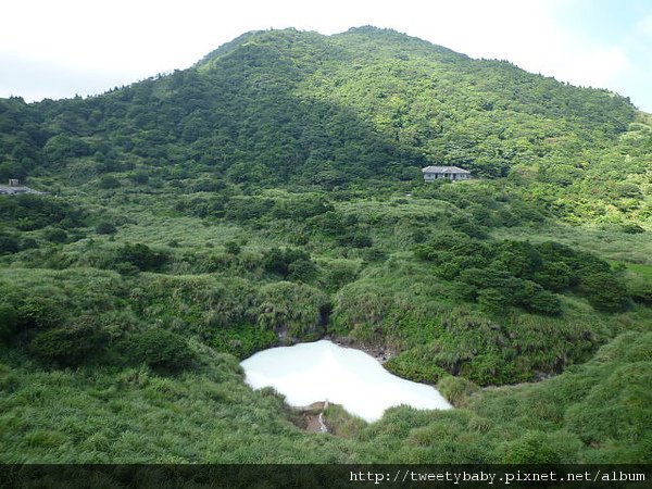 冷水坑公共溫泉.七股山登山口.牛奶湖 018.JPG