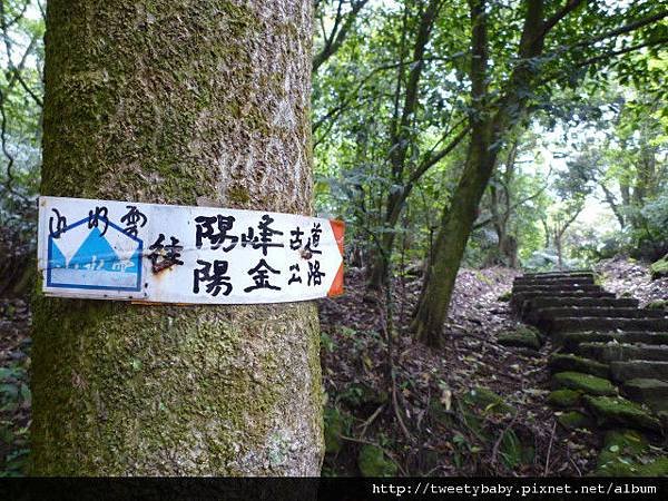 七股山上的法蘭克VS童妍童羽 131.JPG