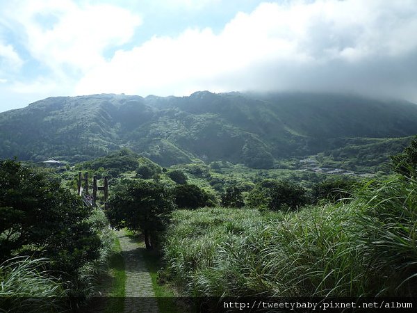 冷水坑公共溫泉.七股山登山口.牛奶湖 033.JPG