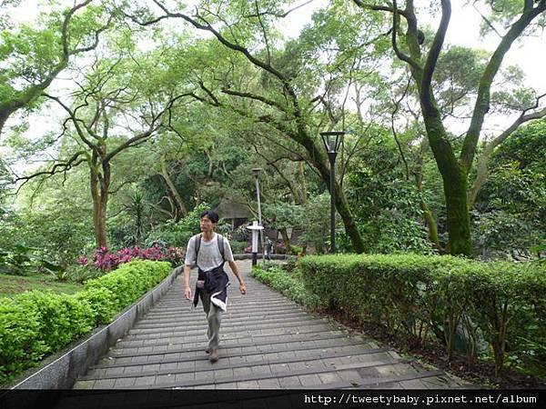 虎頭山公園.三分山.五分山.虎頭山 047.JPG