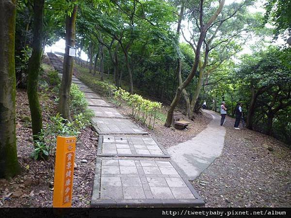 虎頭山公園.三分山.五分山.虎頭山 081.JPG