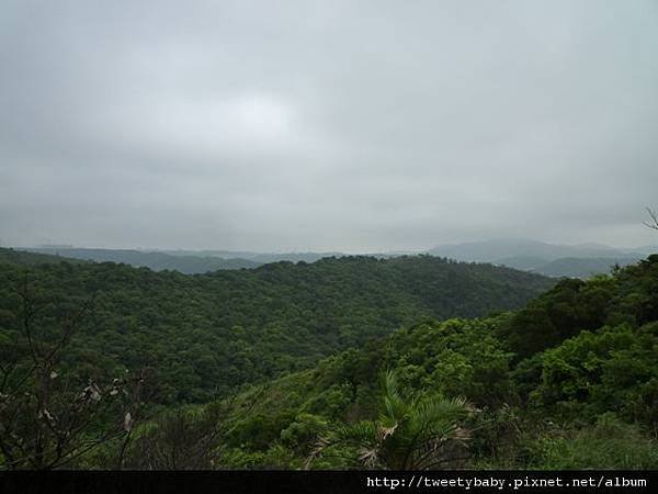 虎頭山公園.三分山.五分山.虎頭山 113.JPG