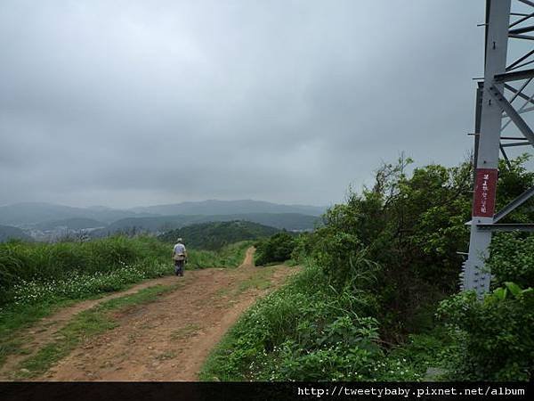 虎頭山公園.三分山.五分山.虎頭山 142.JPG