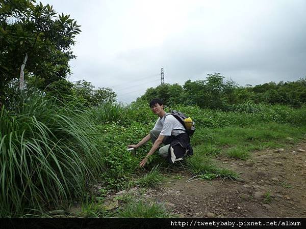 虎頭山公園.三分山.五分山.虎頭山 155.JPG