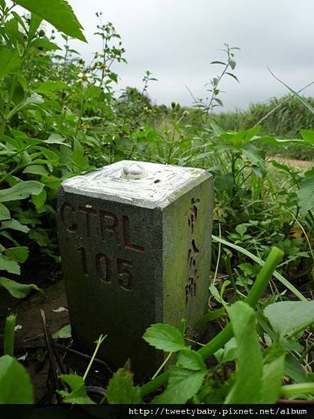 虎頭山公園.三分山.五分山.虎頭山 157.JPG