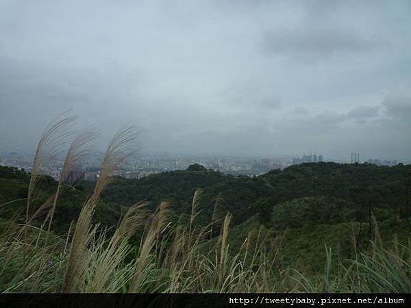 虎頭山公園.三分山.五分山.虎頭山 185.JPG