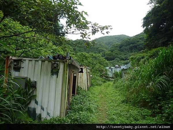 蕃薯寮山.蕃薯寮古道一小段 071.JPG