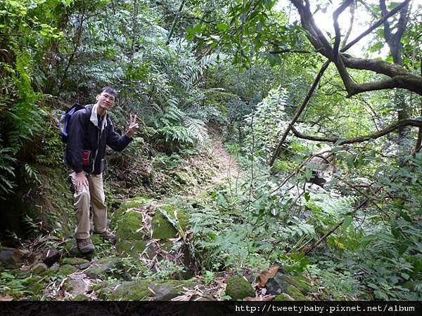 柑子坑山未遇.阿泉坑山.樟湖山.樟山寺 028.JPG