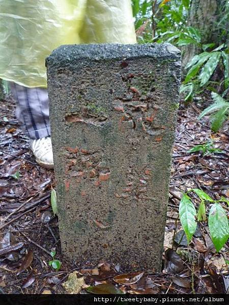 冷飯坑古道.冷飯坑山.楓子林山 016.JPG