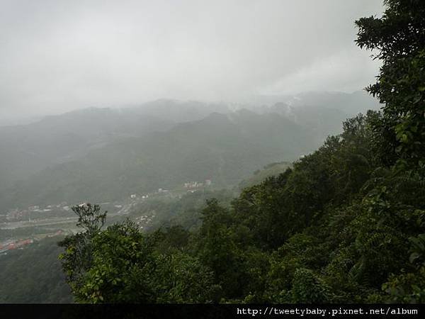 冷飯坑古道.冷飯坑山.楓子林山 072.JPG