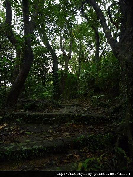 興隆山東北峰.興隆山.慈光寺 062