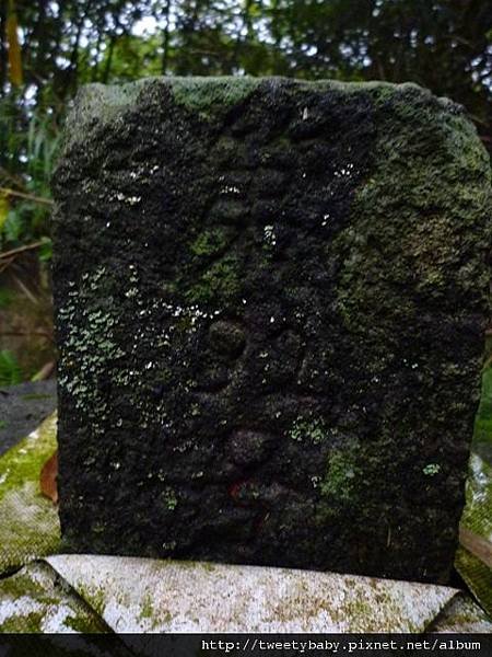 興隆山東北峰.興隆山.慈光寺 071