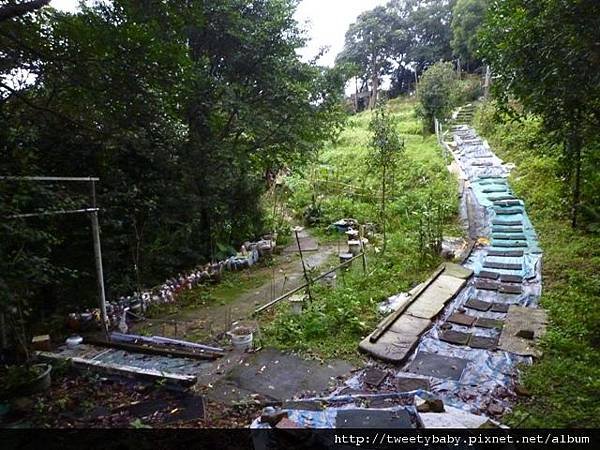 興隆山東北峰.興隆山.慈光寺 076