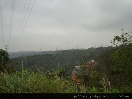 白匏子嶺.大埔山 063