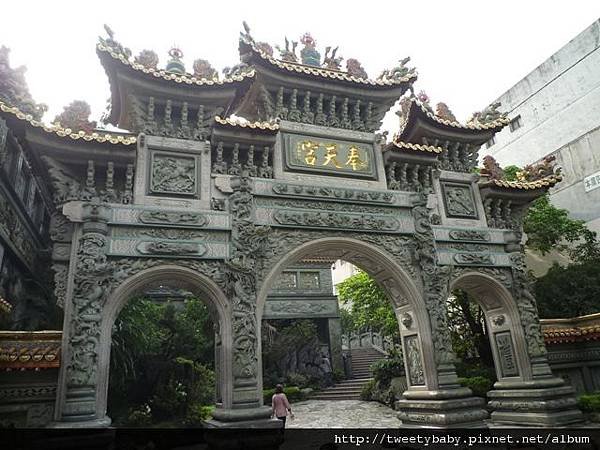 龍山洞市503基點.虎山自然步道.三清宮大葉雀榕 002