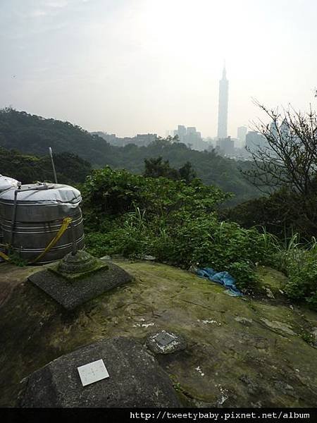 龍山洞市503基點.虎山自然步道.三清宮大葉雀榕 025