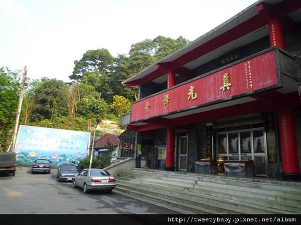 龍山洞市503基點.虎山自然步道.三清宮大葉雀榕 049