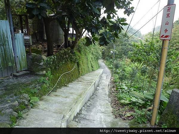 豹山溪步道.豹山 061