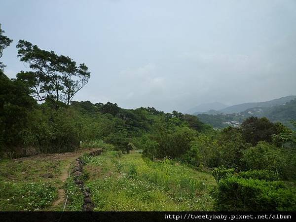 中山地政事務所N802.測量大隊TP01.莊子頂山.竹子湖山.海芋.頂北投大庄山.白雲山未遇 070