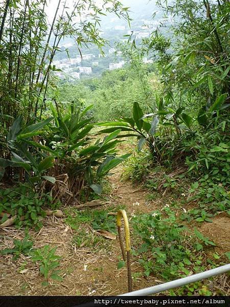 中山地政事務所N802.測量大隊TP01.莊子頂山.竹子湖山.海芋.頂北投大庄山.白雲山未遇 101