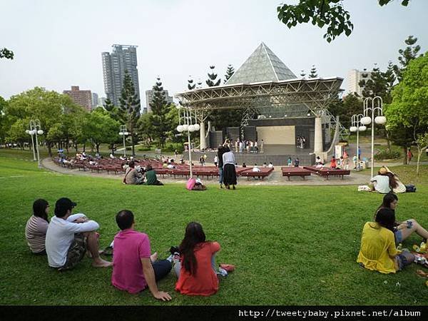 大安森林公園賞流蘇 102