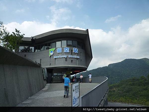 龍門國中流蘇花.鵝角格山.北市市80 052