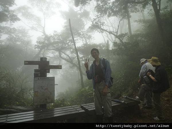 北市市66未竟.市72未遇.市45.貓空圓山烏龍行 067