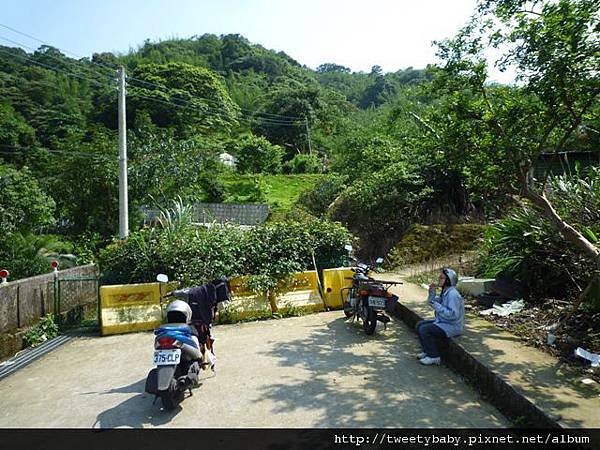 南邦寮山.二格山.北市市51基石 174