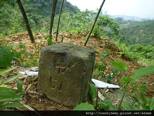 南邦寮山.二格山.北市市51基石 183