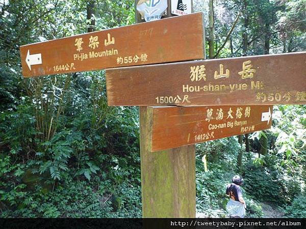 南邦寮山.二格山.北市市51基石 145