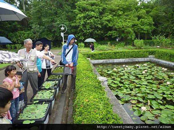 植物園、建中蔣公銅像2 056