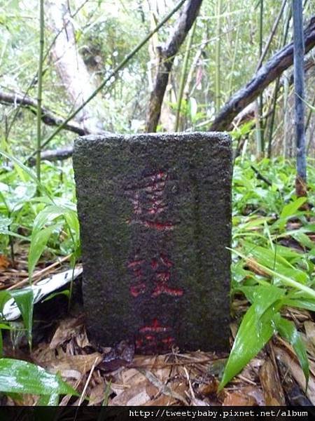 萬順寮山.東南山 069