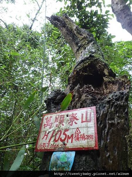 萬順寮山.東南山 075