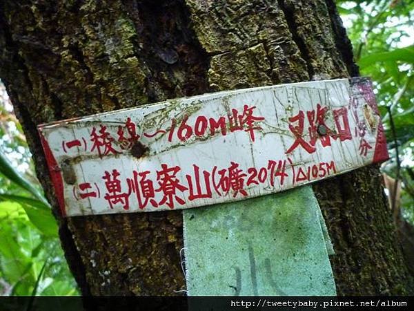 萬順寮山.東南山 096