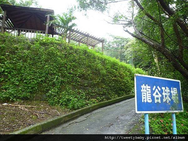 萬順寮山.東南山 111