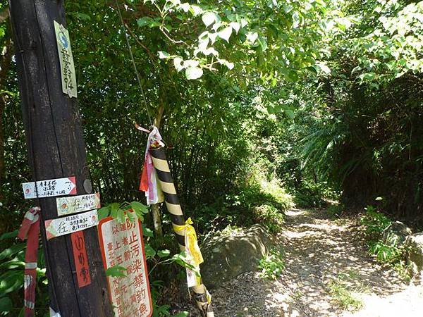 青潭水源12.青潭水源10.永安景觀步道.八卦茶園.塗潭崙.竹筏碼頭.雷公埤山 061