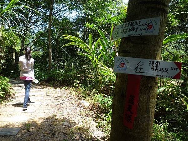 青潭水源12.青潭水源10.永安景觀步道.八卦茶園.塗潭崙.竹筏碼頭.雷公埤山 080