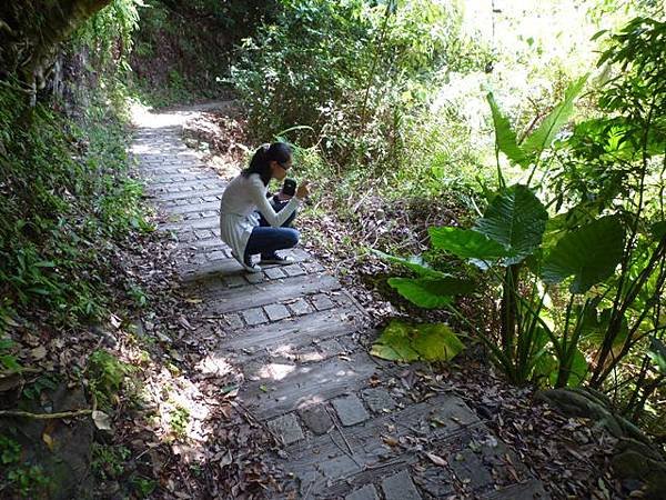 青潭水源12.青潭水源10.永安景觀步道.八卦茶園.塗潭崙.竹筏碼頭.雷公埤山 091