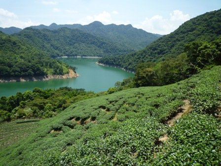 青潭水源12.青潭水源10.永安景觀步道.八卦茶園.塗潭崙.竹筏碼頭.雷公埤山 107