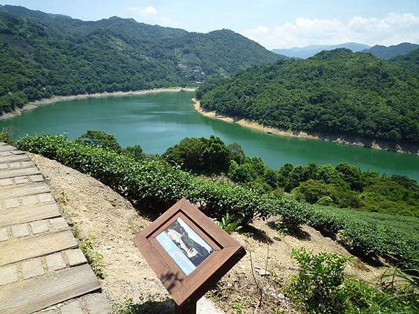 青潭水源12.青潭水源10.永安景觀步道.八卦茶園.塗潭崙.竹筏碼頭.雷公埤山 110