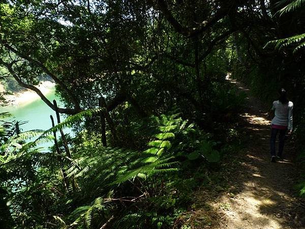 青潭水源12.青潭水源10.永安景觀步道.八卦茶園.塗潭崙.竹筏碼頭.雷公埤山 115