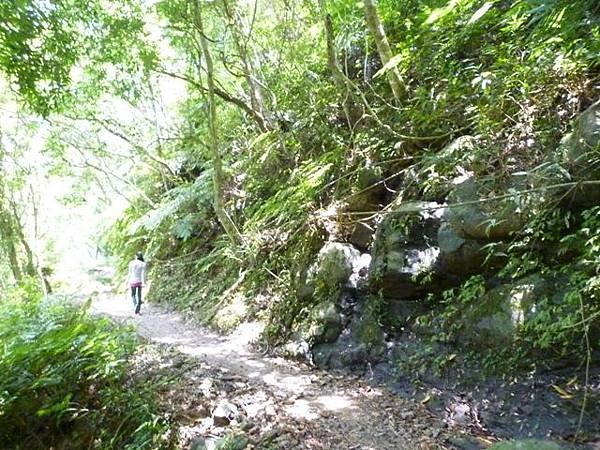 青潭水源12.青潭水源10.永安景觀步道.八卦茶園.塗潭崙.竹筏碼頭.雷公埤山 116