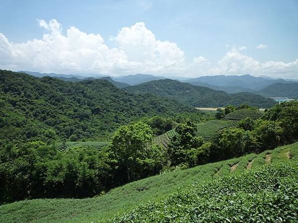 青潭水源12.青潭水源10.永安景觀步道.八卦茶園.塗潭崙.竹筏碼頭.雷公埤山 144