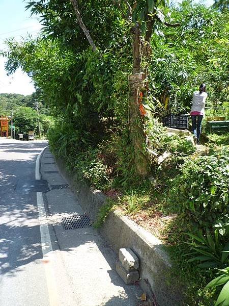 青潭水源12.青潭水源10.永安景觀步道.八卦茶園.塗潭崙.竹筏碼頭.雷公埤山 156