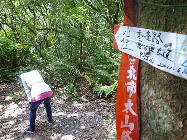 青潭水源12.青潭水源10.永安景觀步道.八卦茶園.塗潭崙.竹筏碼頭.雷公埤山 181