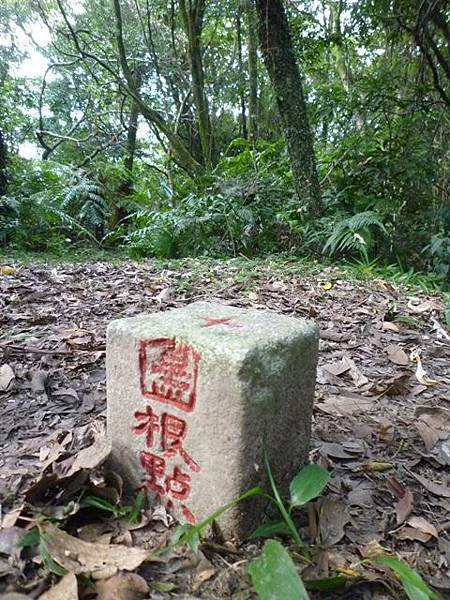 青潭水源12.青潭水源10.永安景觀步道.八卦茶園.塗潭崙.竹筏碼頭.雷公埤山 185