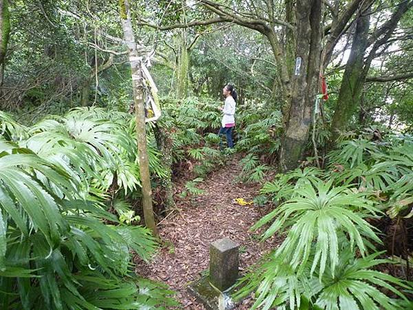 青潭水源12.青潭水源10.永安景觀步道.八卦茶園.塗潭崙.竹筏碼頭.雷公埤山 196