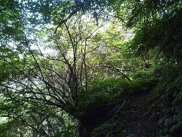 南港山攀岩步道 076