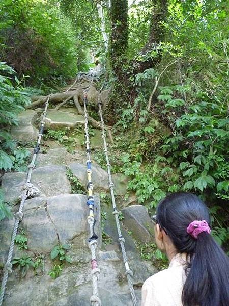 南港山攀岩步道 081