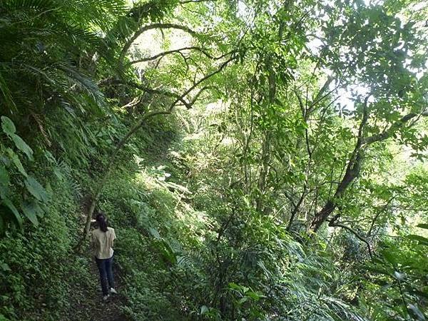 南港山攀岩步道 142